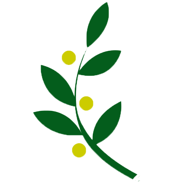 Olive Vine Recording Company